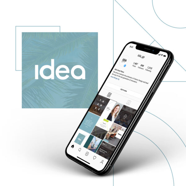 IIDA Project Overview